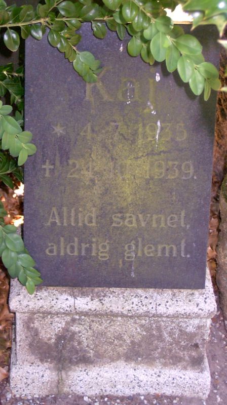Kaj.JPG